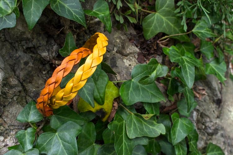 La tradizione della concia al vegetale